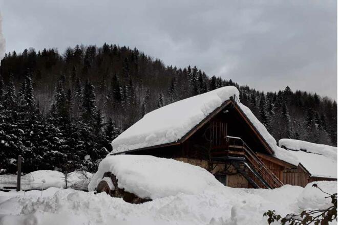 Ferienhaus Naschgarten in Bad Goisern - Blick zur Holzhütte