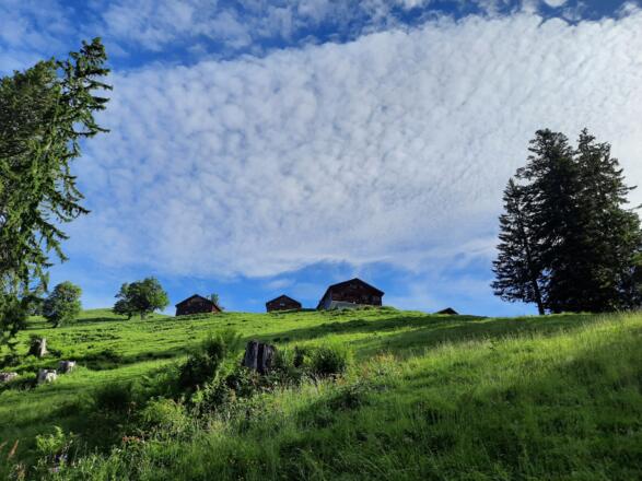 Unterhalb der Plansott Alpe