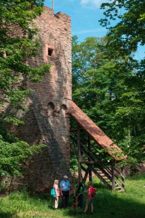 Burgruine Wildenstein