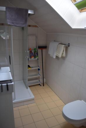 WC/Dusche mit Fenster