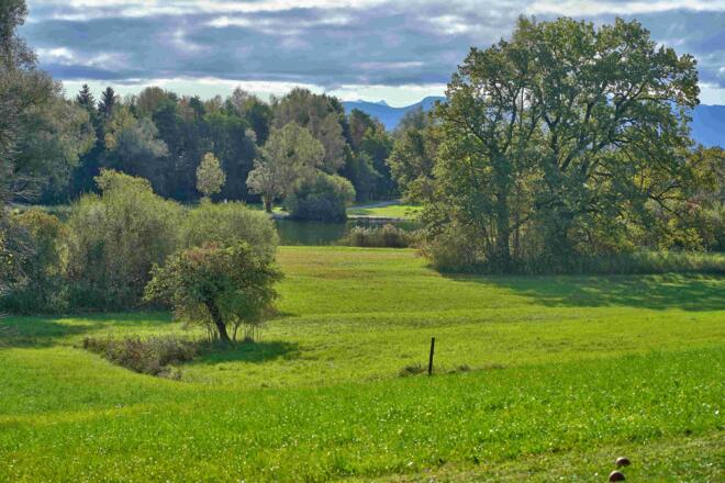 Blick vom Hof auf die Alz