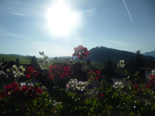 Ausblick vom Balkon