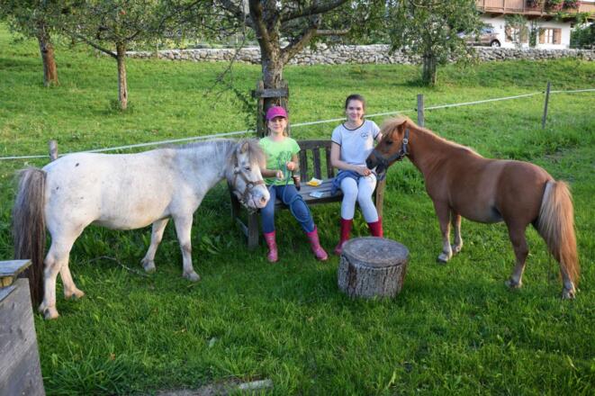 Garten Ponys Kinder