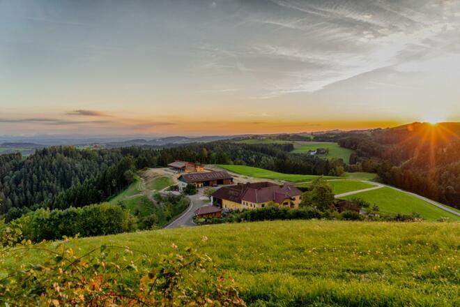 Speck-Alm `Oberfrankenbergerhof`