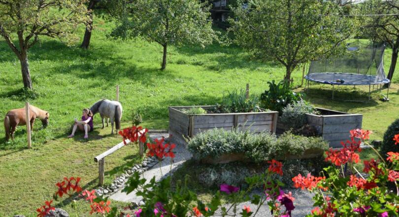 Huberhof Garten Ponys Trampolin