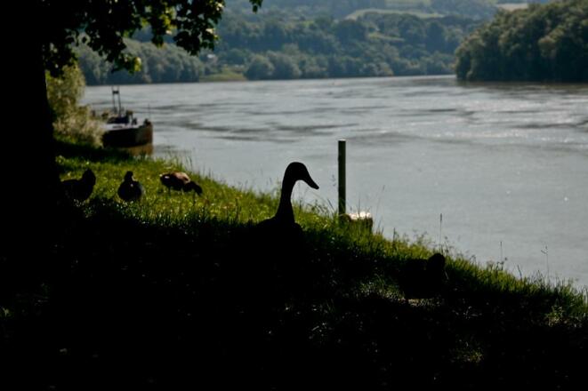 Blick auf Ottensheim