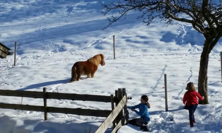 Pony u Kinder Winter
