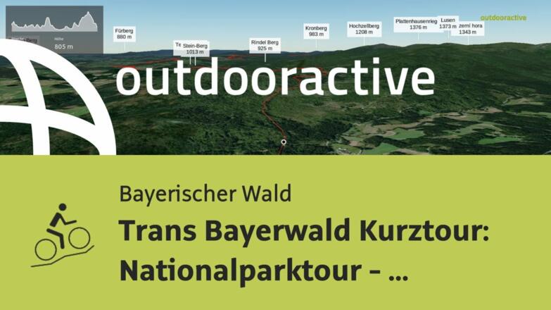 Mountainbike-tour im Bayerischen Wald: Trans Bayerwald Kurztour: Nationalparktour - Wildnis hautnah