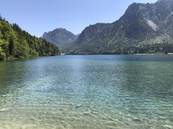 Alpsee
