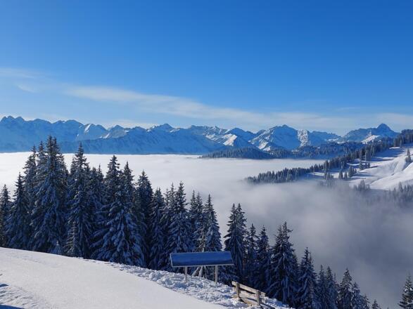 Winter an der Horngratbahn