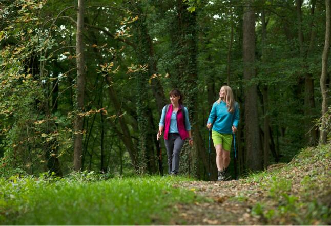 Wanderung im Wald | Bad Kissingen