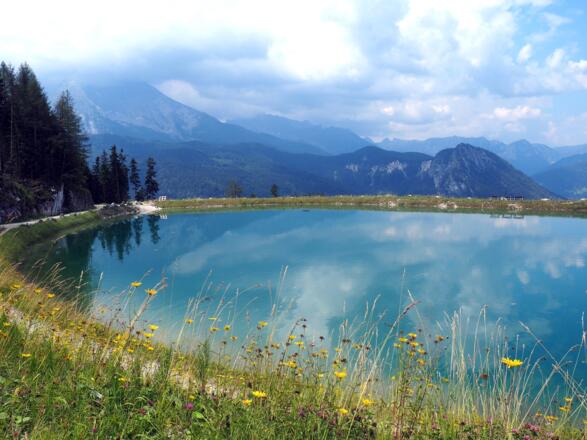 Staubecken an der Forststraße