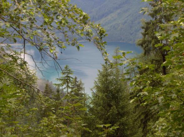 Blick auf den Königssee.