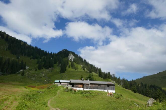 Die 1735 Meter hohe Benzingspitz