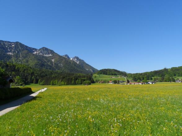 Wunderbarer Ausblick auf den Kienberg