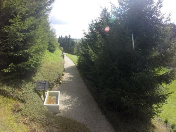 Weg nach Talkirchdorf