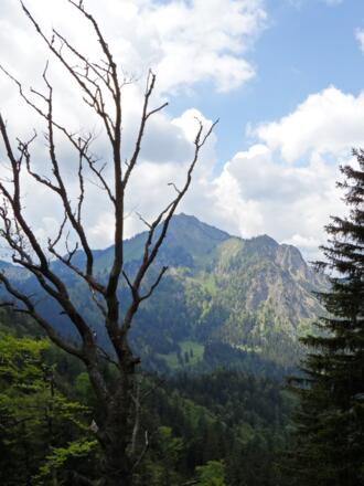 Ausblick zum Hochgern