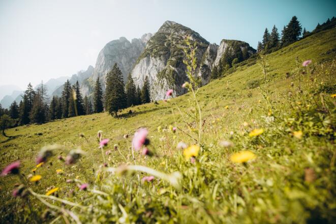 Blick zurück