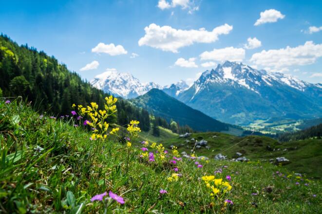 Frühling auf der Mordaualm