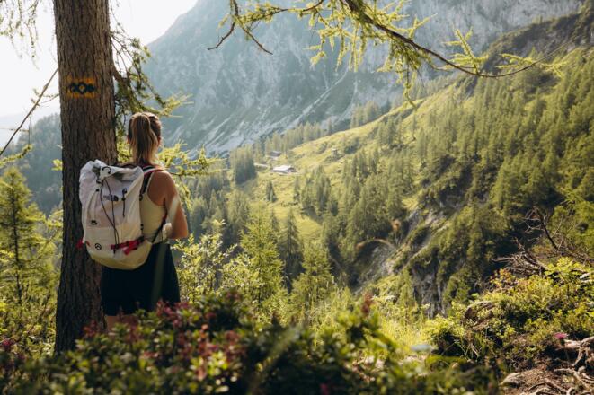 Blick zur Gsengalm