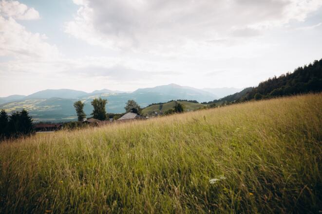 Blick in den Tennengau
