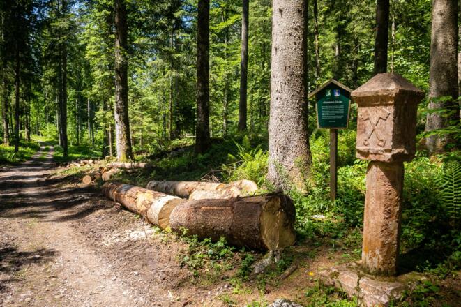Steinerne Säule