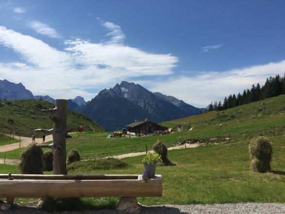 Auf der Mordaualm