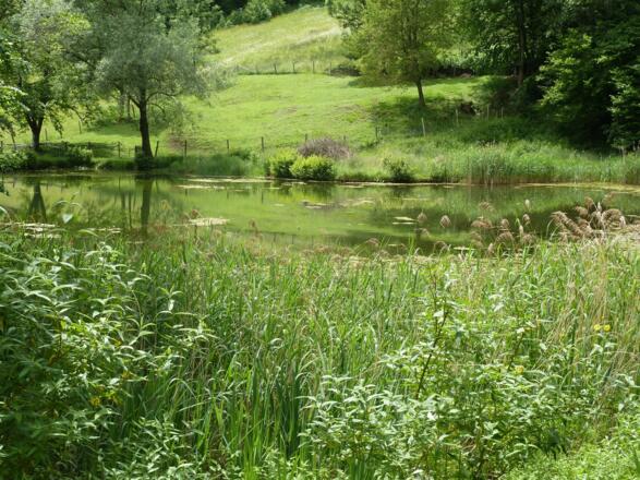Weiher Bergbad Stüberl