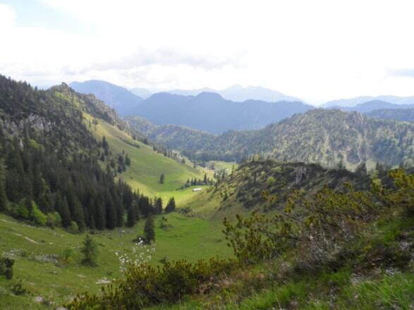 Ausblick auf die Almlandschaft