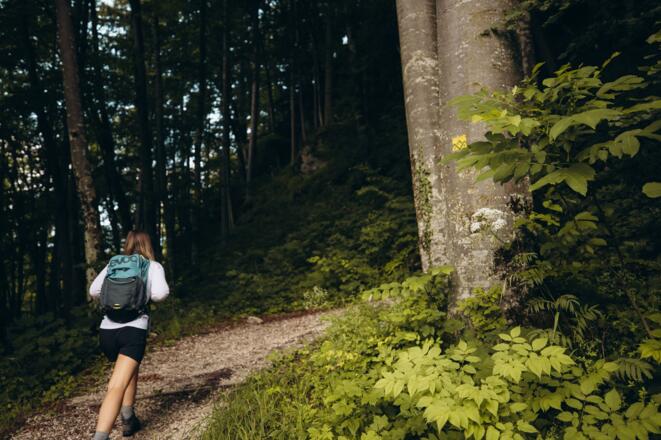 Unterwegs auf Etappe 10 des SalzAlpenSteigs