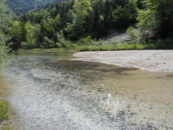 Kiesfang Weiße Achen