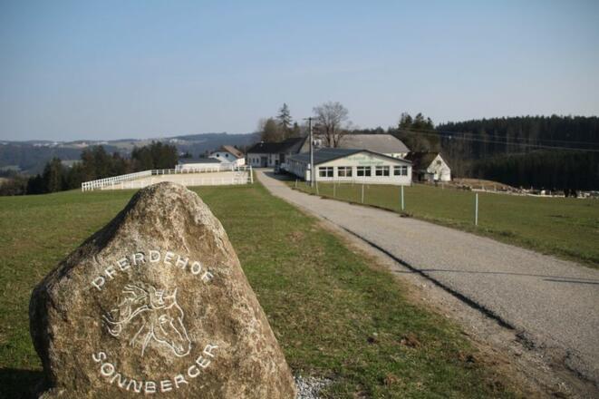 Pferdehof Sonnberger Granit Stein