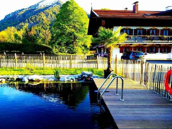 Der neue Schwimmteich neben dem Gästehaus