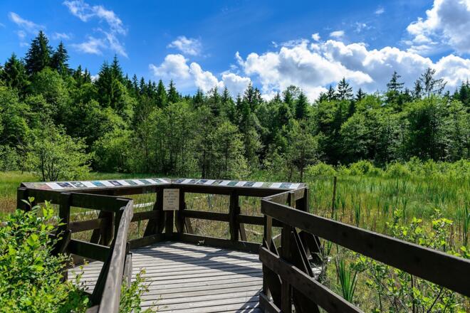 Erlebnisweg Moorwald Aussichtsplattform