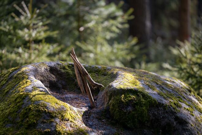 Schalenstein Nahaufnahme