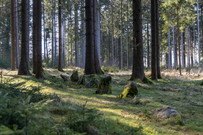 Steinsitzungen \"7 Hauptmänner\"