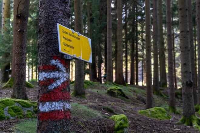 Wegweiser: Steinsitzungen-Kreuzstein-Schalenstein