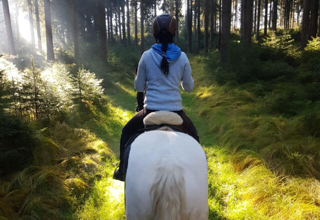 M4Hochland_Wanderritt