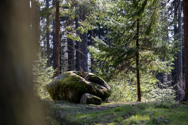 Schalenstein Fernaufnahme