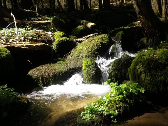 bogenschie-en_umgebung_bogensport-granitland