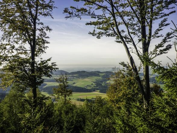 Ausblick vom Wendenstein