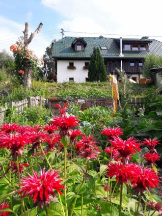 Kerschbaumer Hausansicht