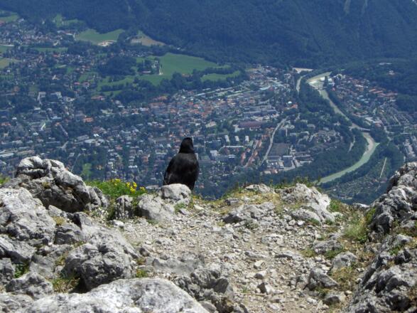 Am Gipfel eröffnet sich uns ein spektakulärer Ausblick auf Bad Reichenhall.