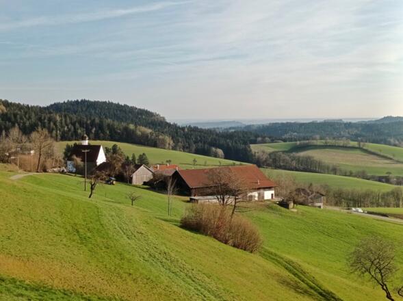 Landasberg mit Bogenberg dahinter