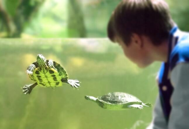 Nautiland Schauaquarium Sonneberg