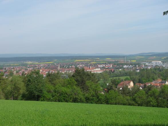 Blick auf Bad Neustadt
