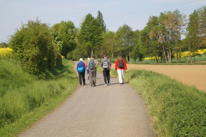 Es geht auf Estenfeld zu