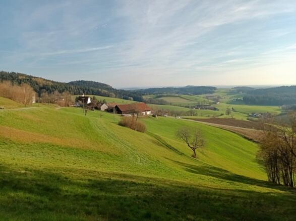 Blick nach Landasberg