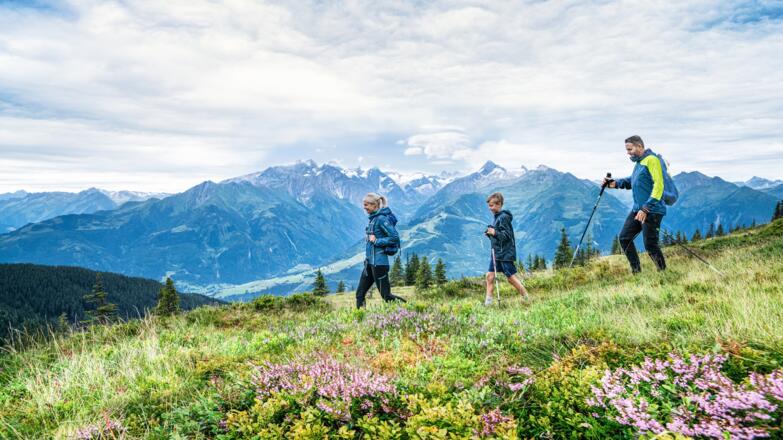 Wandern am Panorama Trail