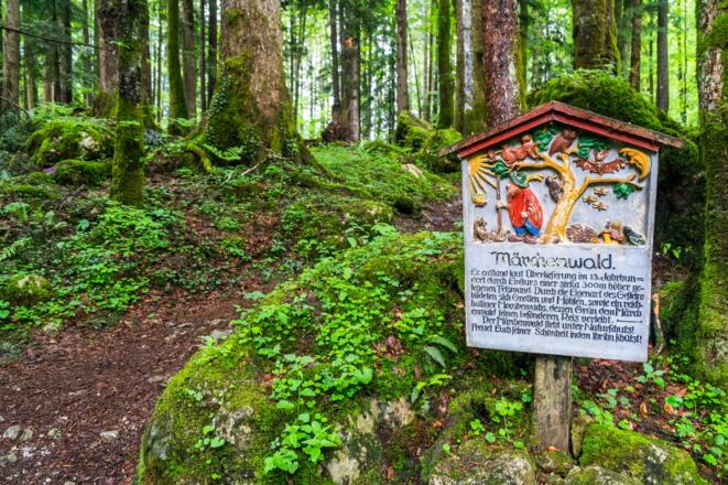 Der Märchenwald
